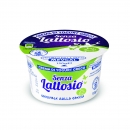 Iogurte Grego Natural S/lactose 2%